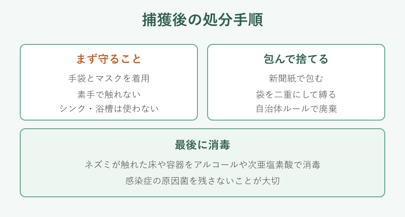 捕獲後の処分手順フロー