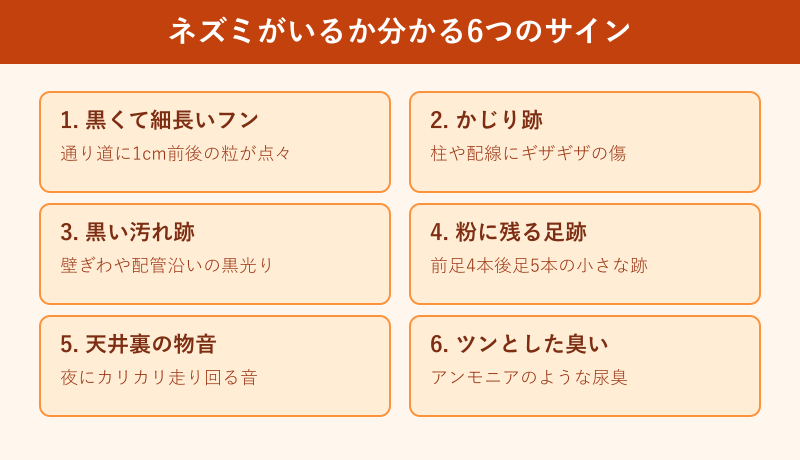 ネズミがいるサイン6つのチェックリスト