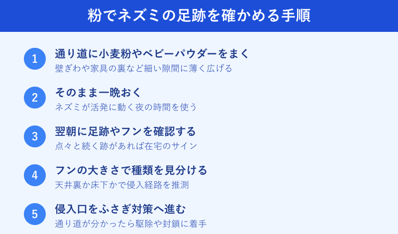 粉でネズミの足跡を確かめる5つの手順
