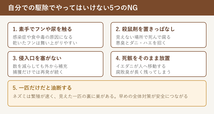 自分での駆除でやってはいけない5つのNGの図