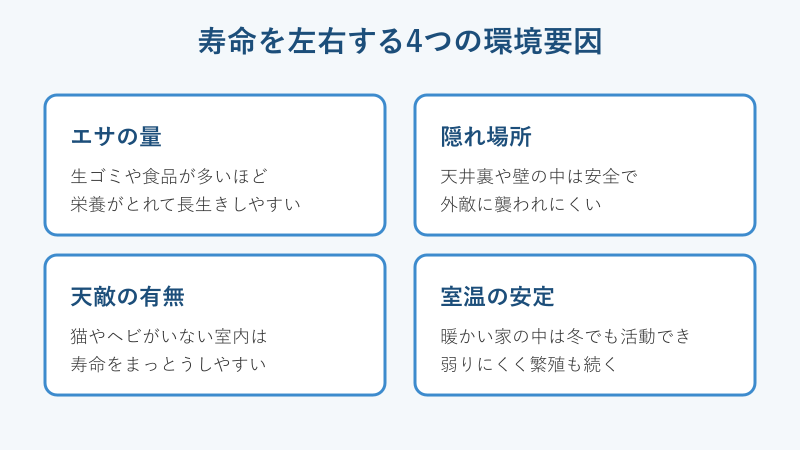 ネズミの寿命を左右する4つの環境要因