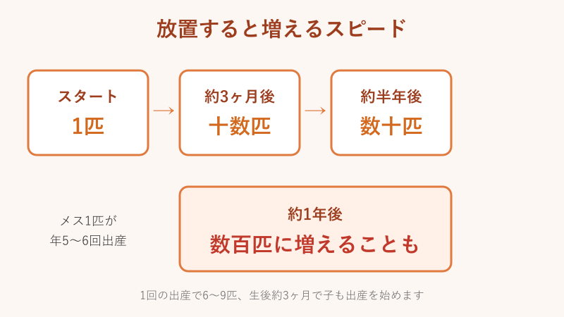 ネズミを放置したときに増えるスピードのフロー