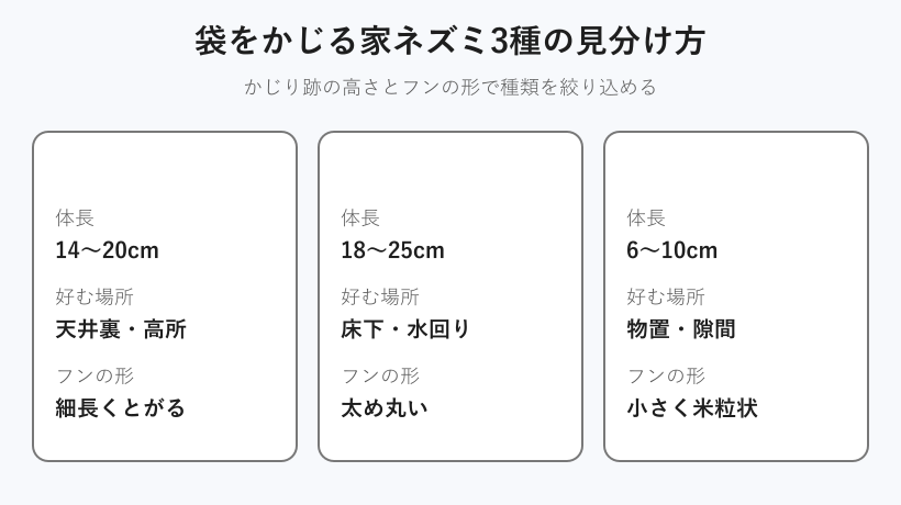 家ネズミ3種類の大きさと好む場所の比較図