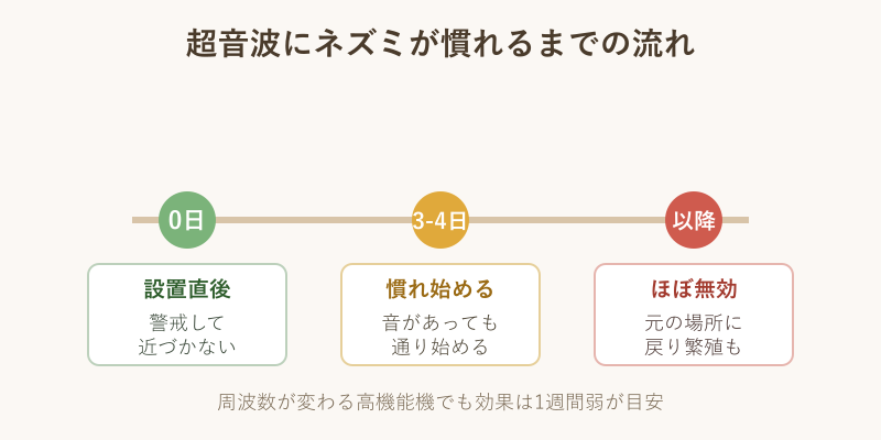 超音波に慣れるまでの流れ