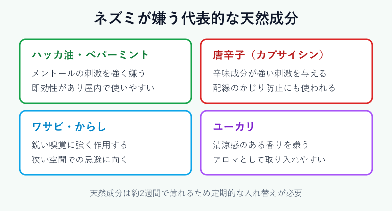 ネズミが嫌う天然成分の一覧図