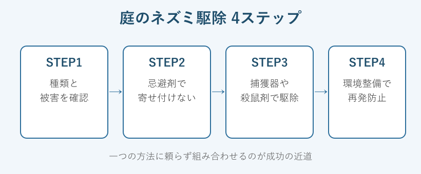 庭のネズミを駆除する4ステップのフロー図