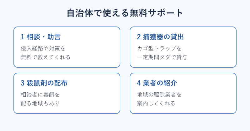 自治体で使えるネズミ駆除の無料サポート4種類