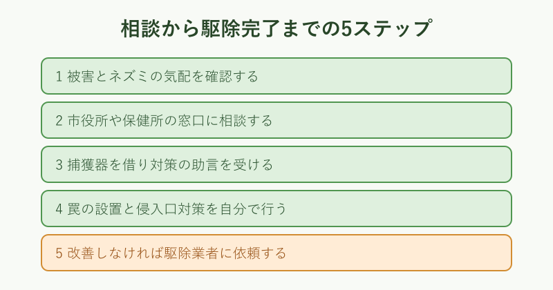 ネズミ駆除を相談から完了まで進める5ステップの流れ図