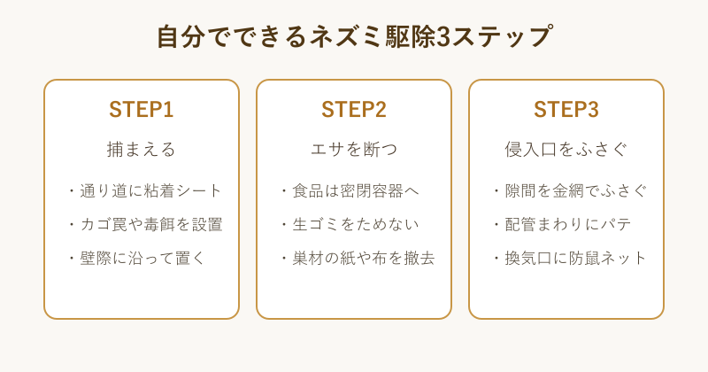 自分でできるネズミ駆除3ステップの手順カード