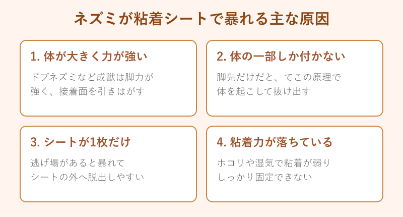ネズミが暴れる主な原因の一覧図
