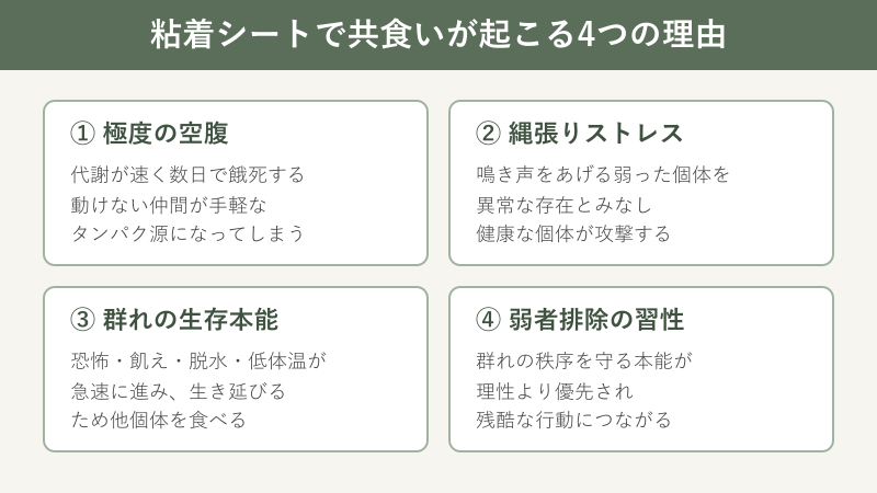 共食いが起こる4つの理由を示した図解