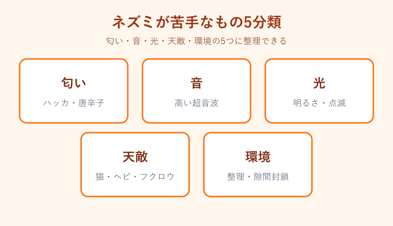 ネズミが苦手なもの5分類の早見表