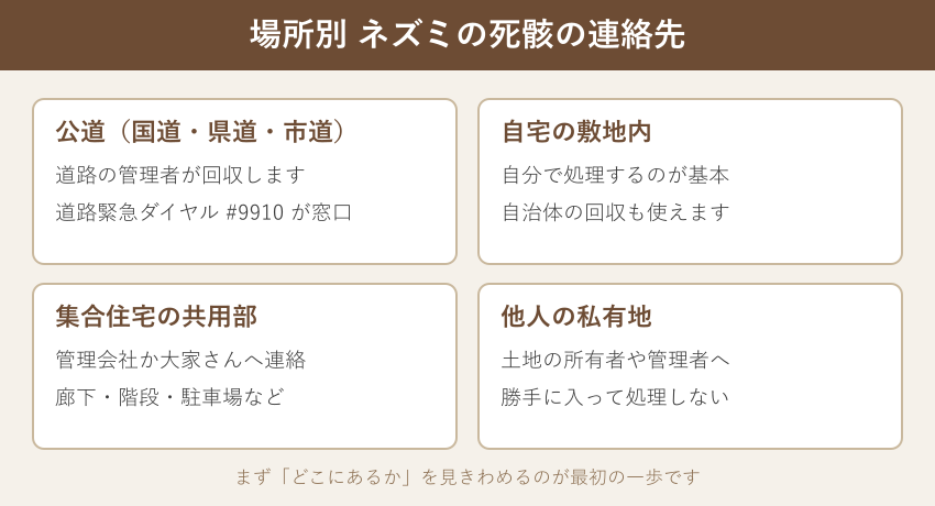 場所別に見たネズミの死骸の連絡先早見表