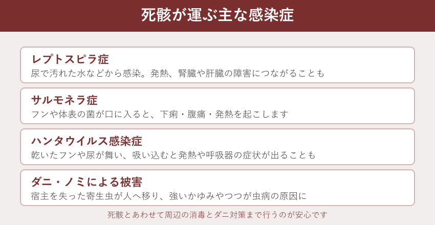 ネズミの死骸が運ぶ主な感染症の一覧