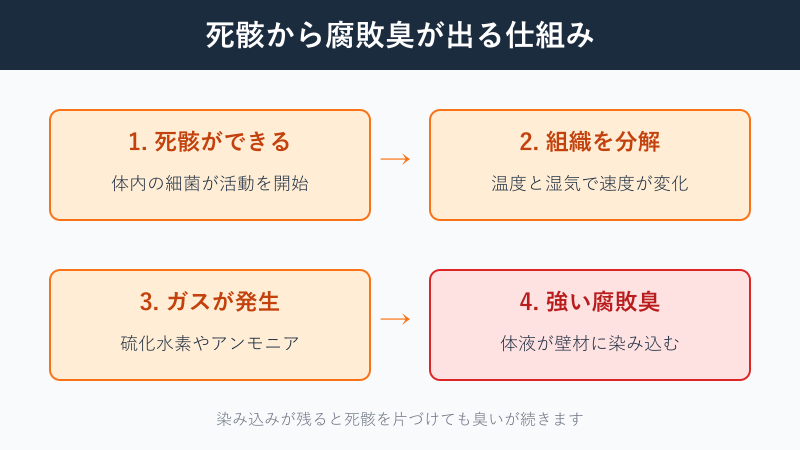 死骸から腐敗臭が出る仕組みの図