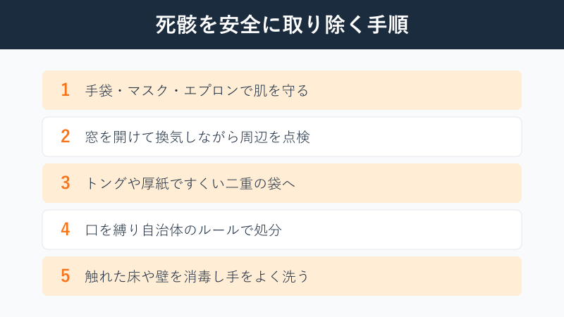 死骸を安全に取り除く手順リスト