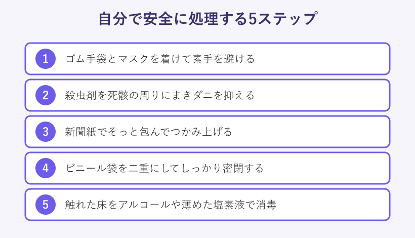 ネズミの死骸を処理する5ステップの図