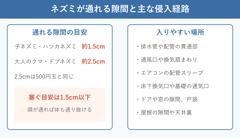 ネズミが通れる隙間の大きさと主な侵入経路の図