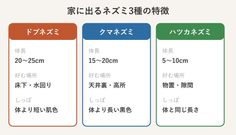 家に出るネズミ3種の特徴カード