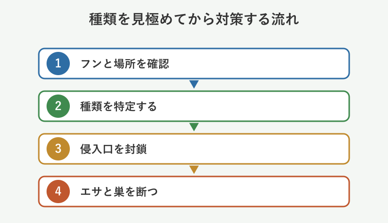 種類別ネズミ対策のステップ図