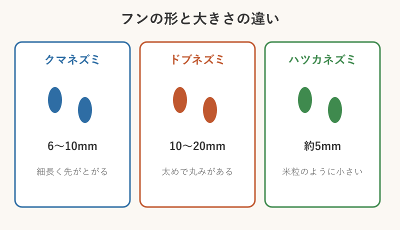 3種のネズミのフンの違い