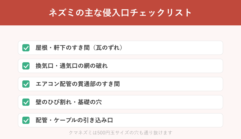 ネズミの主な侵入口を確認するチェックリスト