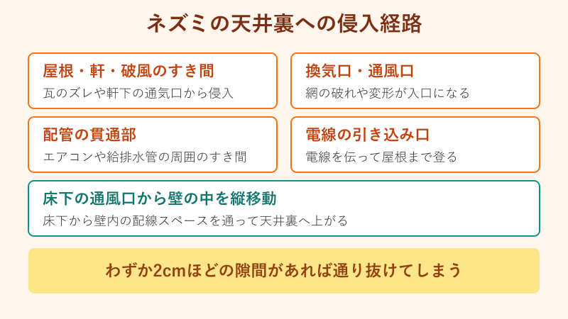 ネズミの天井裏への侵入経路マップ