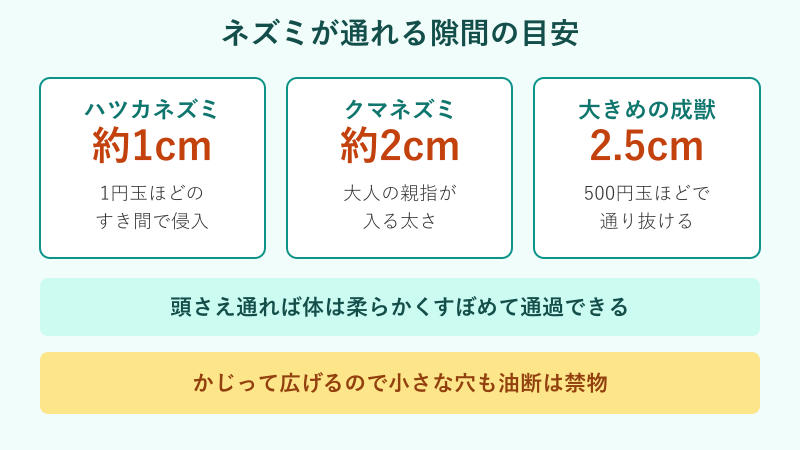 ネズミが通れる隙間サイズの比較