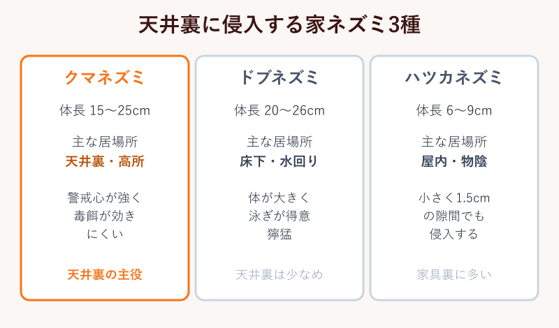 天井裏に侵入する家ネズミ3種の比較カード