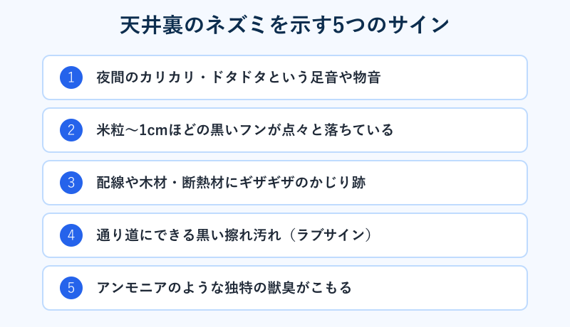 天井裏のネズミを示す5つのサインのチェックリスト