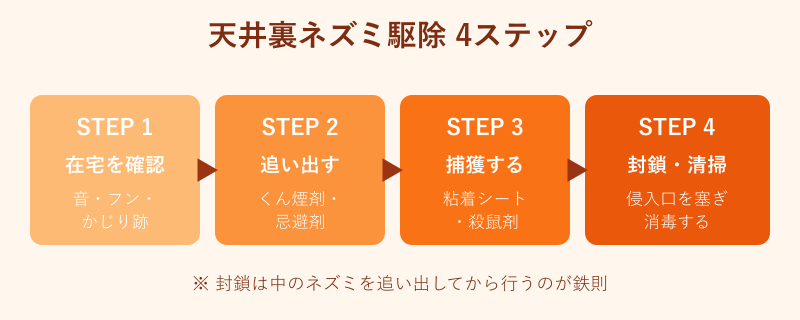 天井裏ネズミ駆除の4ステップのフロー図