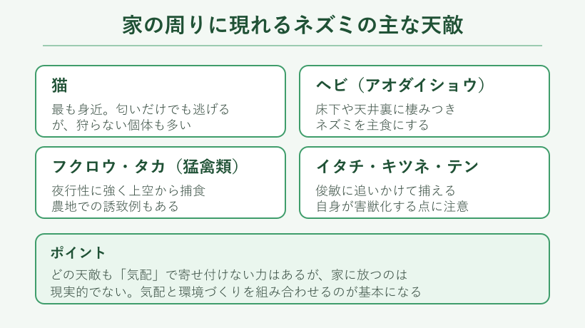 家の周りに現れるネズミの主な天敵の分類図