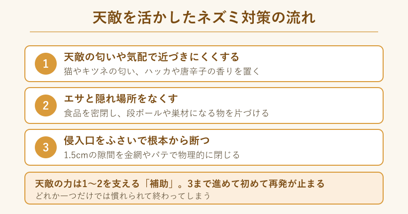 天敵を活かしたネズミ対策の3ステップ図
