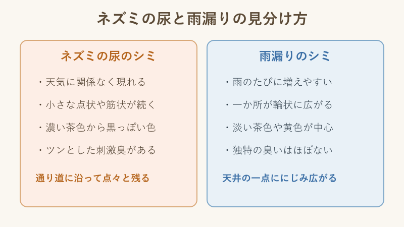 尿のシミと雨漏りの違いの比較図