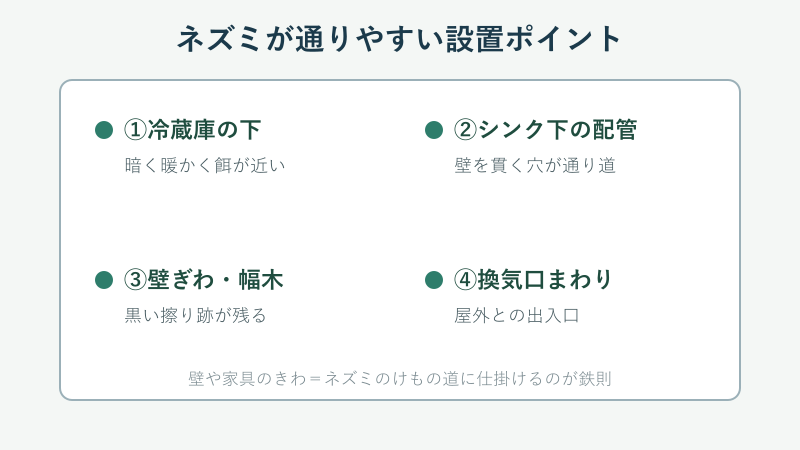 ラットサインと設置場所の見取り図