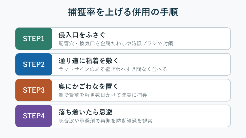 捕獲器と忌避を併用する手順チェック