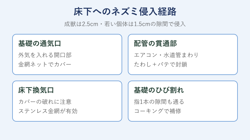 床下へのネズミ侵入経路の図解