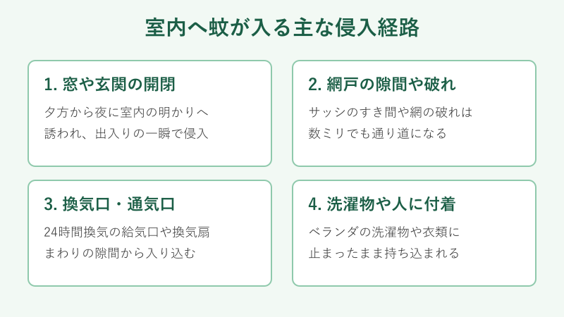 蚊の主な侵入経路をまとめた図