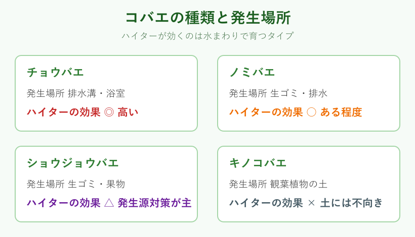 コバエの種類と発生場所の一覧図