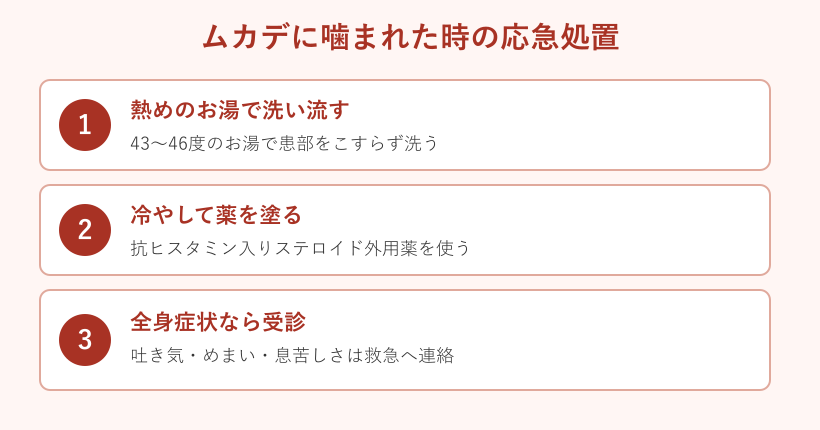 ムカデに噛まれた時の応急処置3ステップ