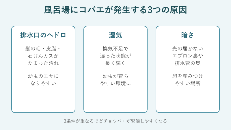 風呂場のコバエが発生する3つの原因の図解