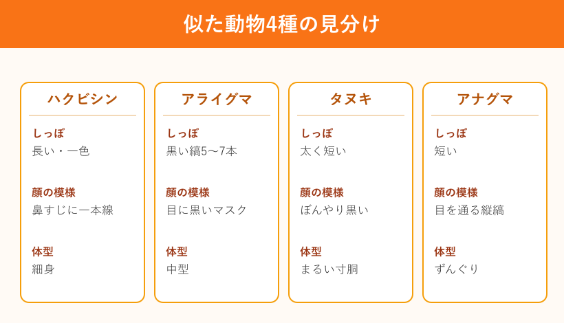 似た動物4種の見分け比較図