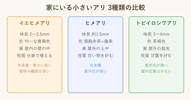 イエヒメアリと他の小さいアリの比較図
