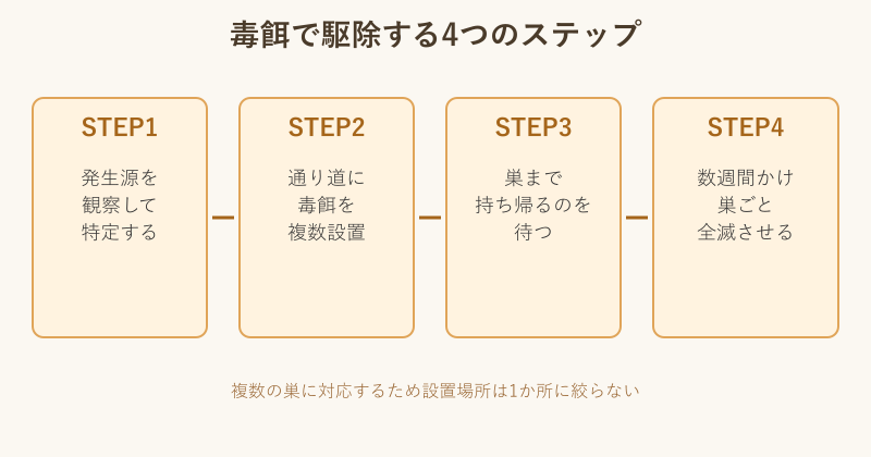 毒餌を使った駆除の4ステップ図