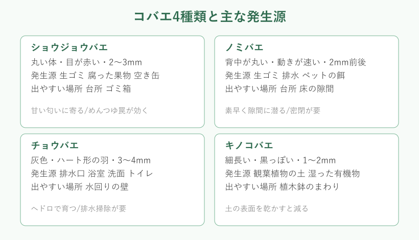 コバエ4種類と発生源の対応図
