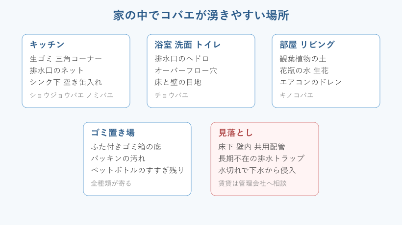 家の中のコバエ発生源マップ