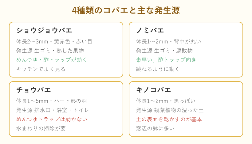 4種類のコバエ比較図