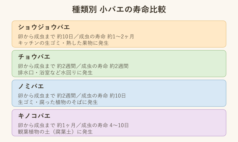 種類別コバエの寿命比較図