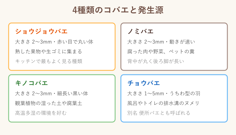4種類のコバエと発生源を比較したカード