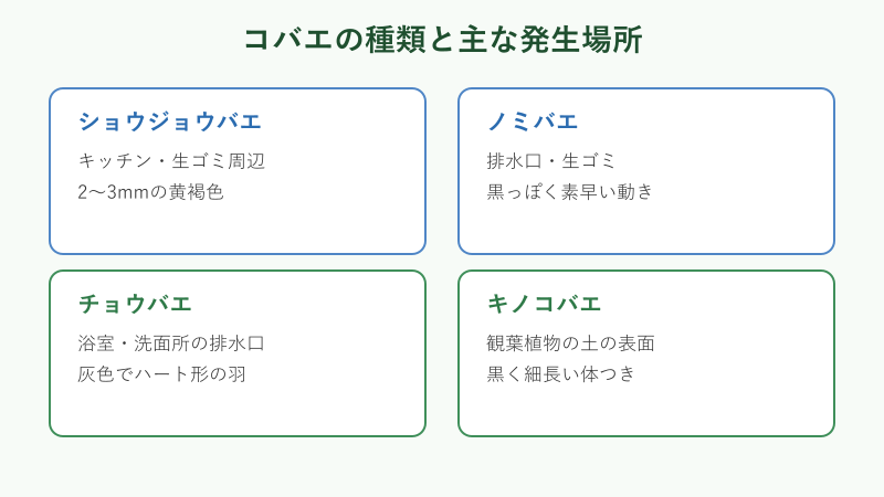 コバエの種類ごとの主な発生場所